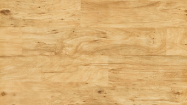 Novoflor EXTRA STYL 4800-12