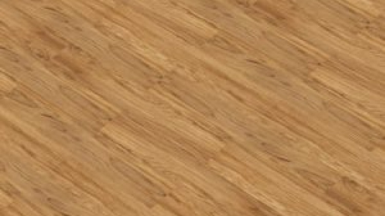 Thermofix 12203-4