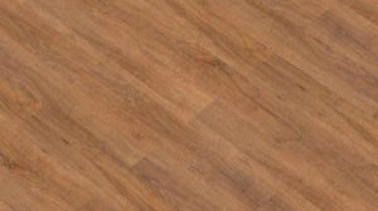 Thermofix 12137-1