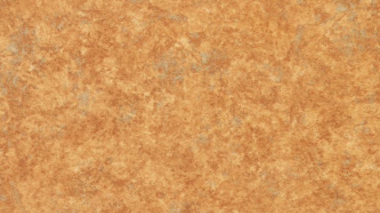 Novoflor STANDARD KOLOR 3100-11