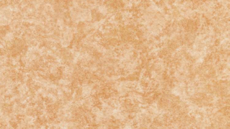 Novoflor STANDARD KOLOR 3100-13