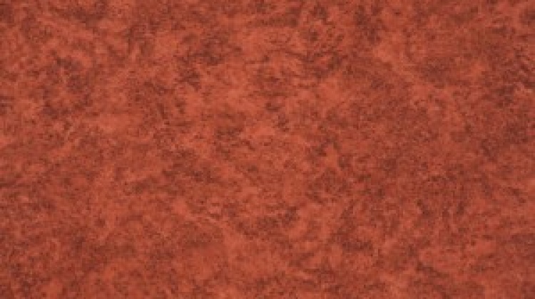 Novoflor STANDARD KOLOR 3100-20