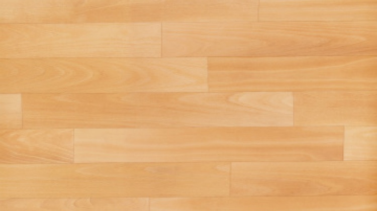 Novoflor EXTRA AMOS 4300-59